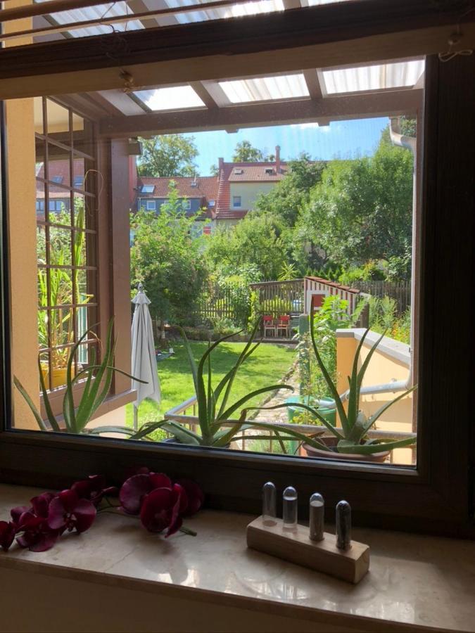 Ferienwohnung An Der Gruenen Clara Ерфурт Екстер'єр фото
